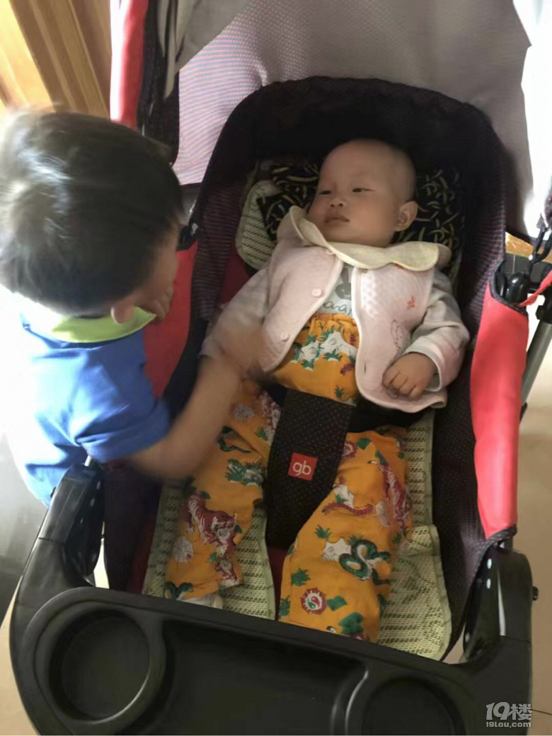 【寶寶的2019】不可錯過的每個成長瞬間