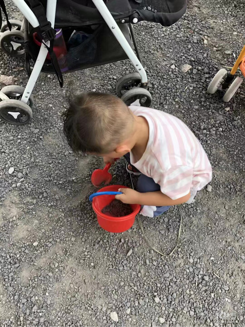 【寶寶的2019】不可錯過的每個成長瞬間