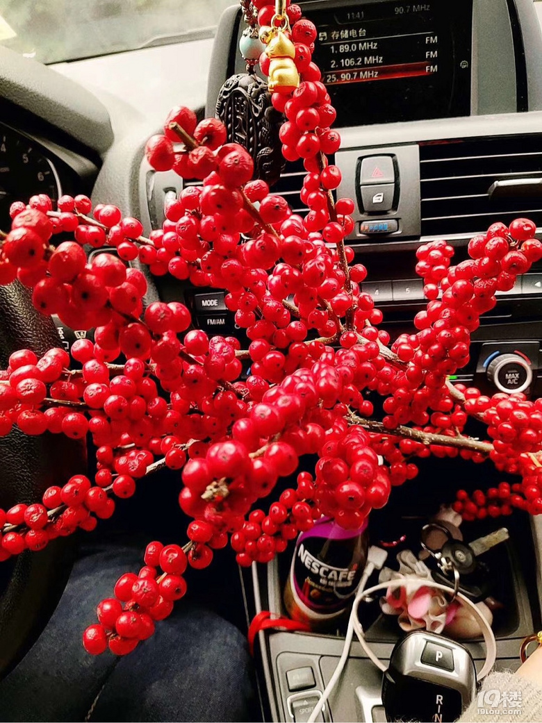 愿君多采撷,此物最相思!又偷偷送我惊喜