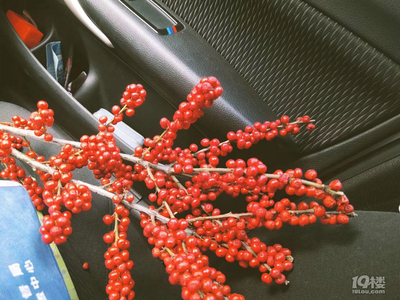 愿君多采撷,此物最相思!又偷偷送我惊喜