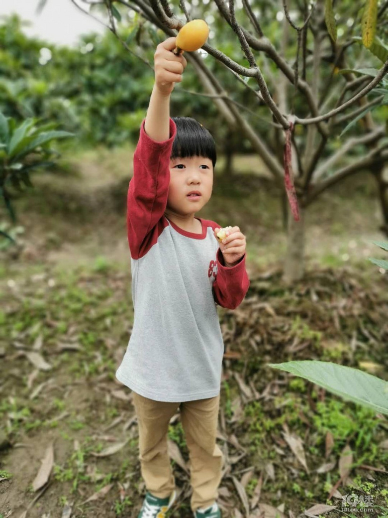 【寶寶的2019】+最幸福就是陪伴你長大