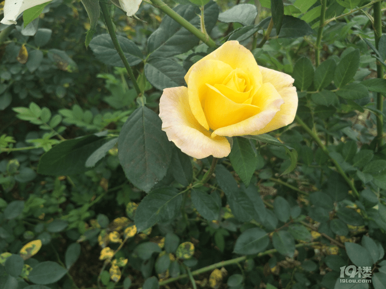 冬季的开化—花牵谷游记