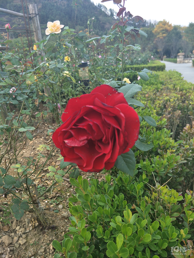冬季的开化—花牵谷游记