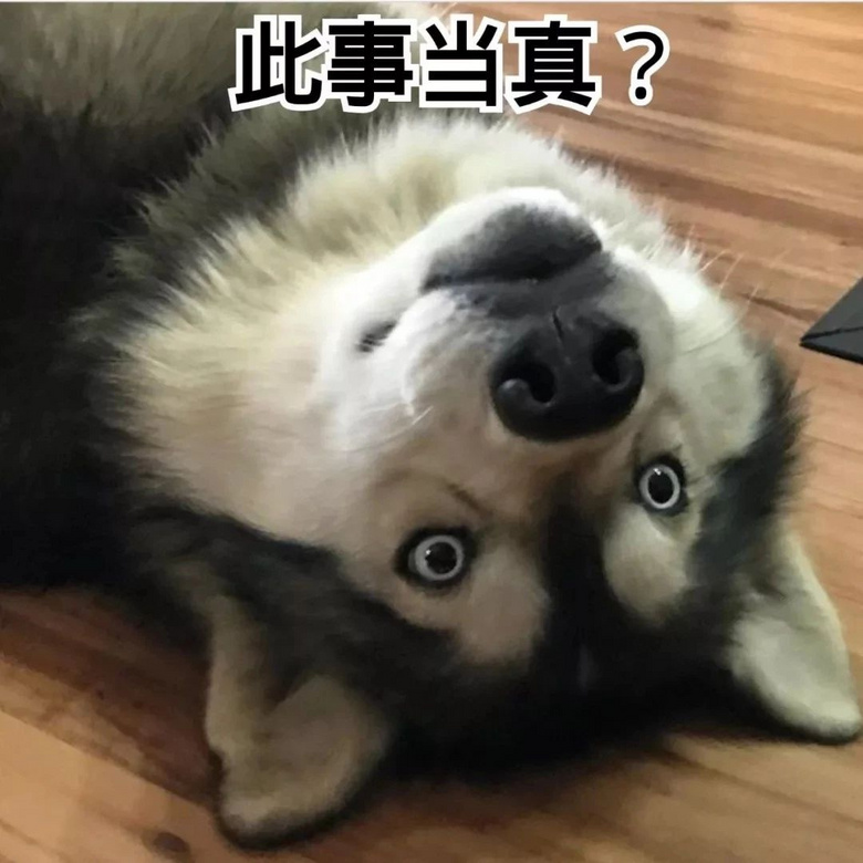 震惊!养狗之后,主人竟然会越变越小