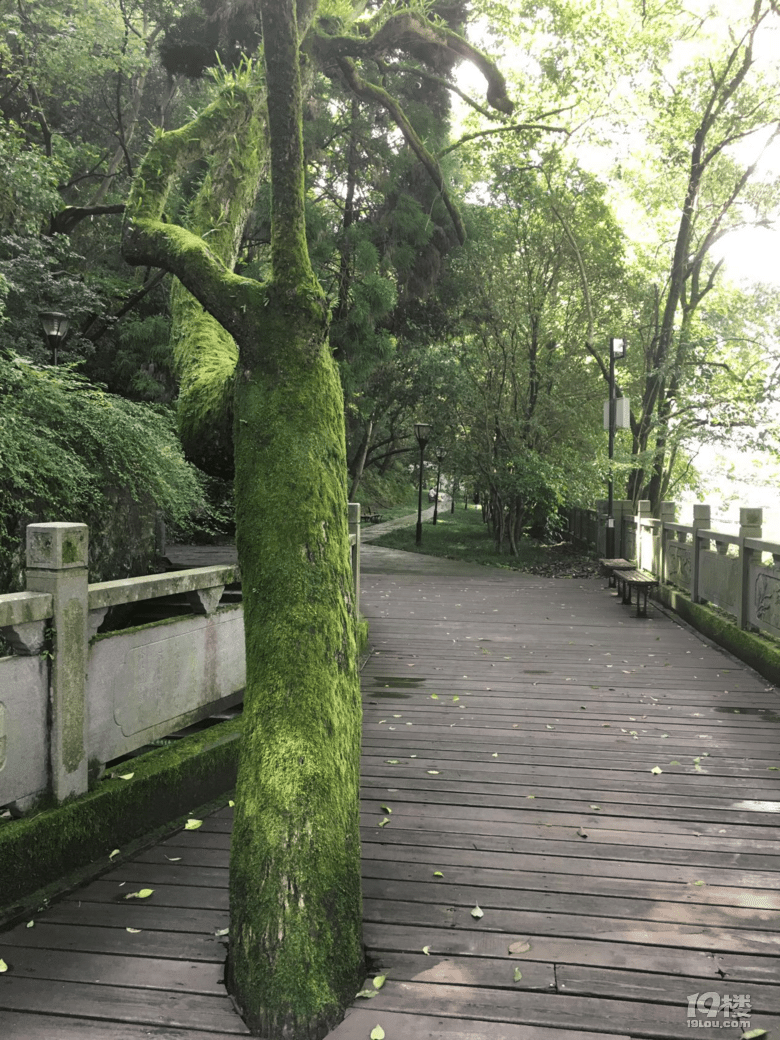 专属我一人的开化冬日游