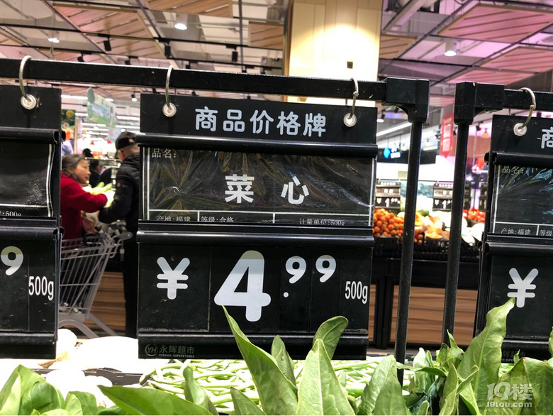 不是所有的綠葉菜都叫青菜啊,到今天才知道還有這么多品種!
