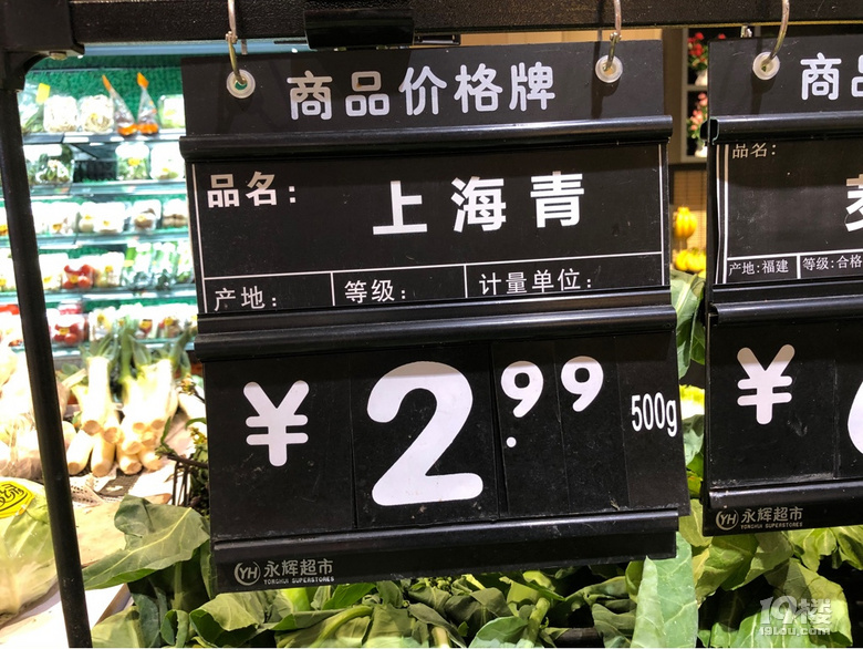 不是所有的綠葉菜都叫青菜啊,到今天才知道還有這么多品種!