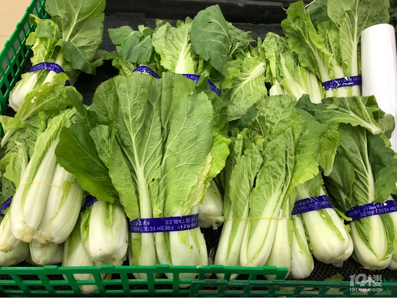 不是所有的綠葉菜都叫青菜啊,到今天才知道還有這么多品種!