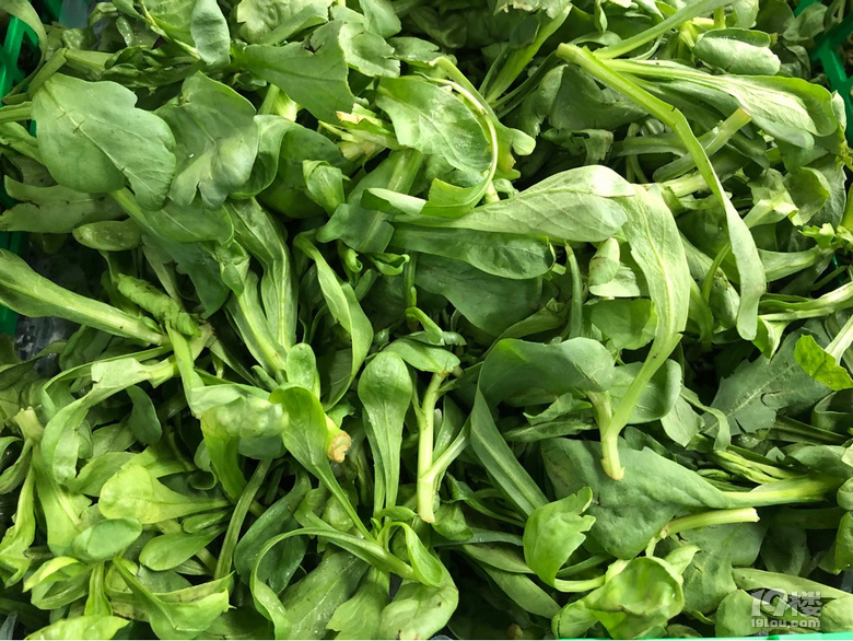 不是所有的綠葉菜都叫青菜啊,到今天才知道還有這么多品種!