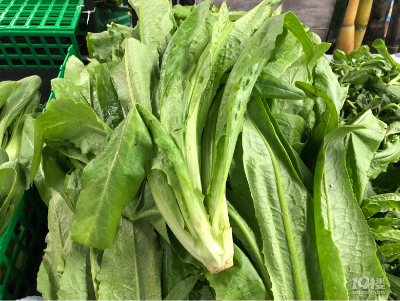不是所有的綠葉菜都叫青菜啊,到今天才知道還有這么多品種!