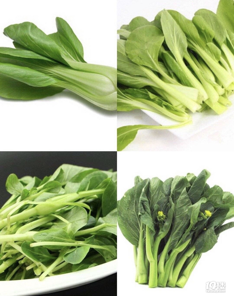 不是所有的綠葉菜都叫青菜啊,到今天才知道還有這么多品種!