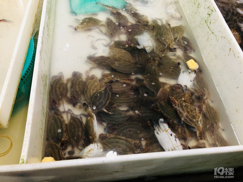 【杭州年貨地圖】草莓15兩碗,明蝦25元,勾莊菜市場便宜貨太多了