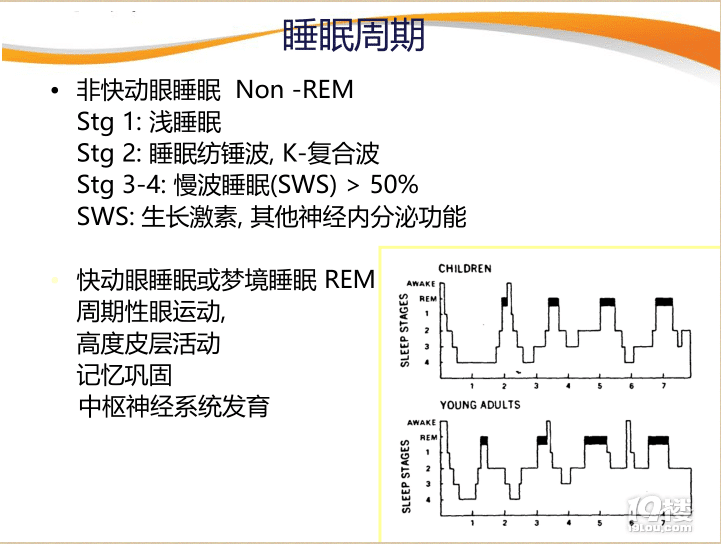 t(y)W(xu)ͽɽ猣Ҟܣ0-3q(x)TԳɾ̓(yu)