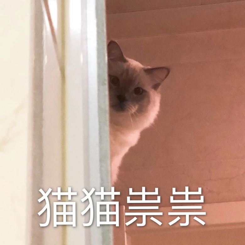 沙雕猫咪表情包合集,不保存你就亏了!