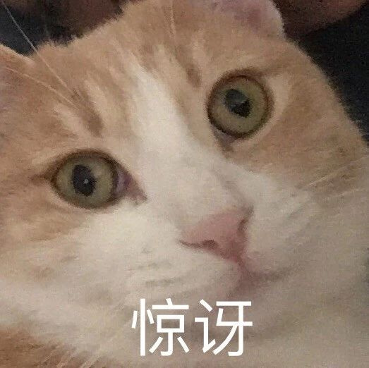 沙雕猫咪表情包合集,不保存你就亏了!