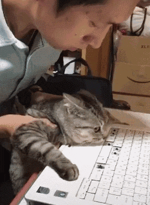 299_409竖版 竖屏gif 动态图 动图