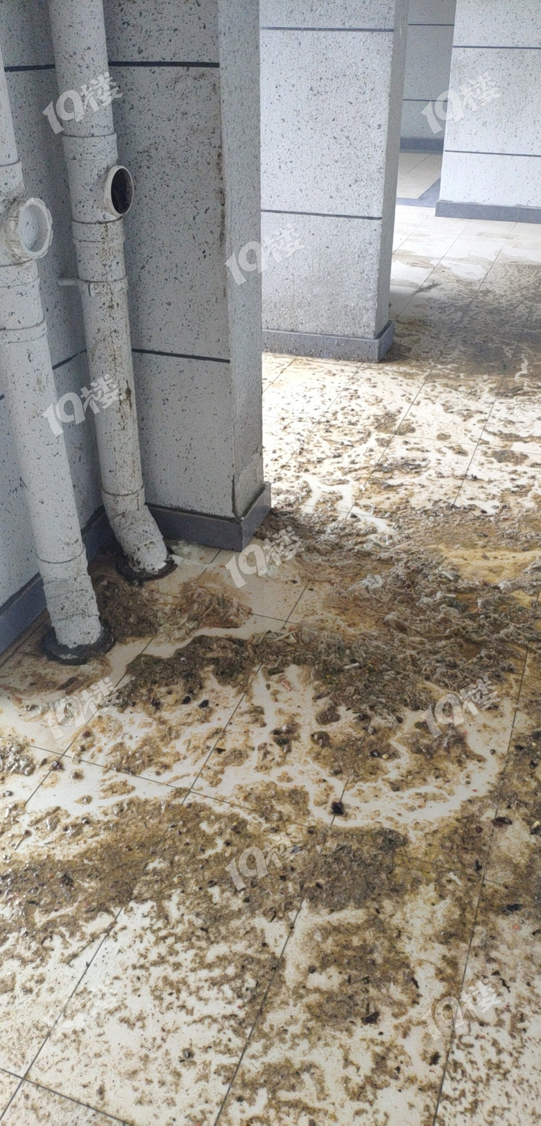 公共污水管道堵塞污水倒灌业主家谁之过谁应该负起应有的责任