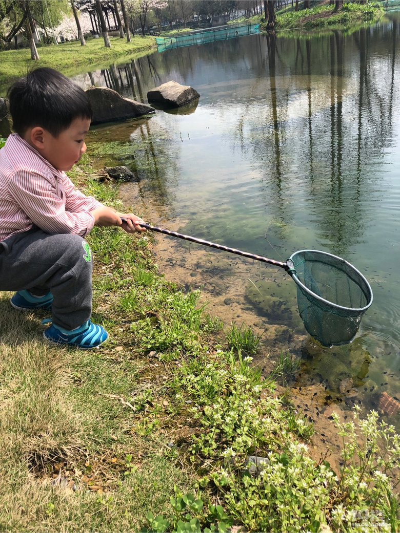 【幼兒園這一年】孩子有了自己的生活,老母親的陪伴越來(lái)越少了