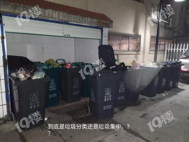 紹興新村的垃圾分類還不如不分,這樣的求助熱線還不如不弄。