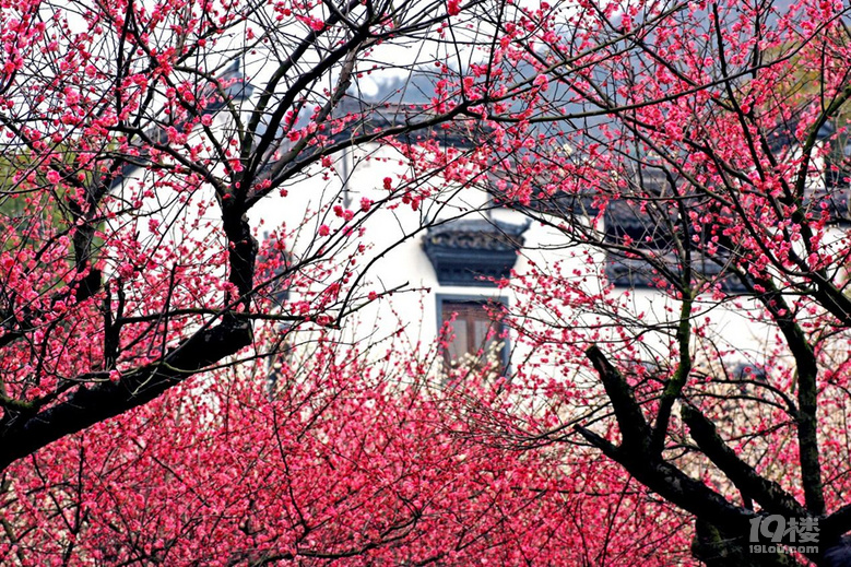 128元游全國!2020旅游年卡發售,全國1200+景區門票限免!