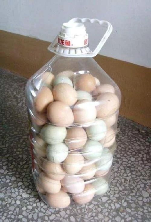 怎么把鸡蛋装进了油桶,知道真相怀疑自己的智商——【天知道】