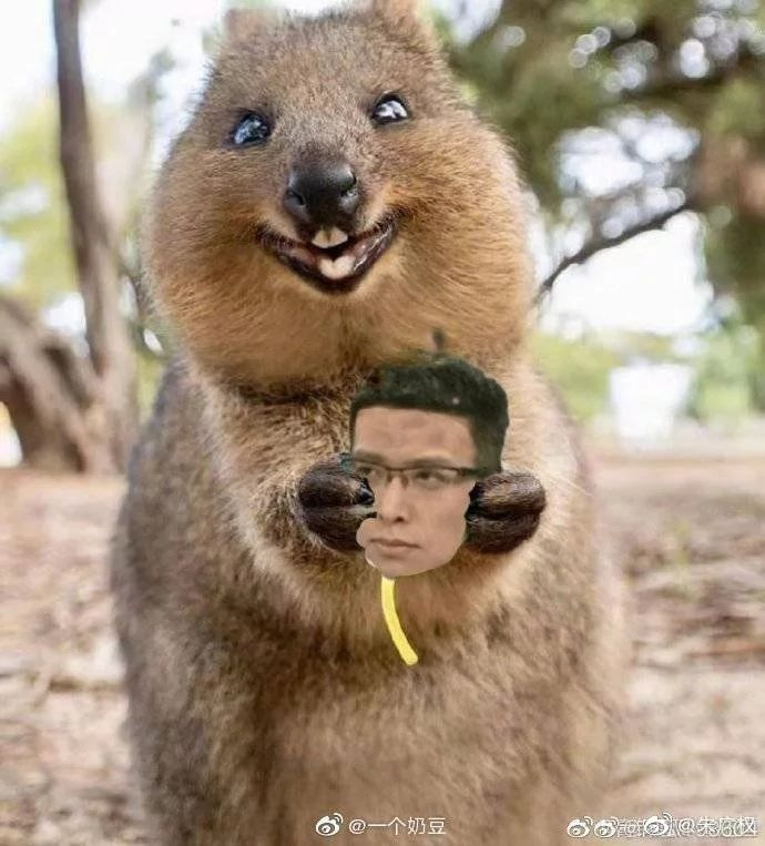 终于等到了康辉朱广权小尼群口相声同台互怼网友撒老师呢