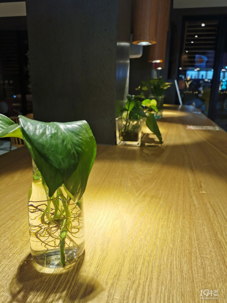 最近經(jīng)常去燉物24章(總店)