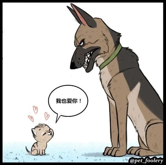 刷爆ins的漫画《大眼萌猫和退役军犬,治愈了200多万网友