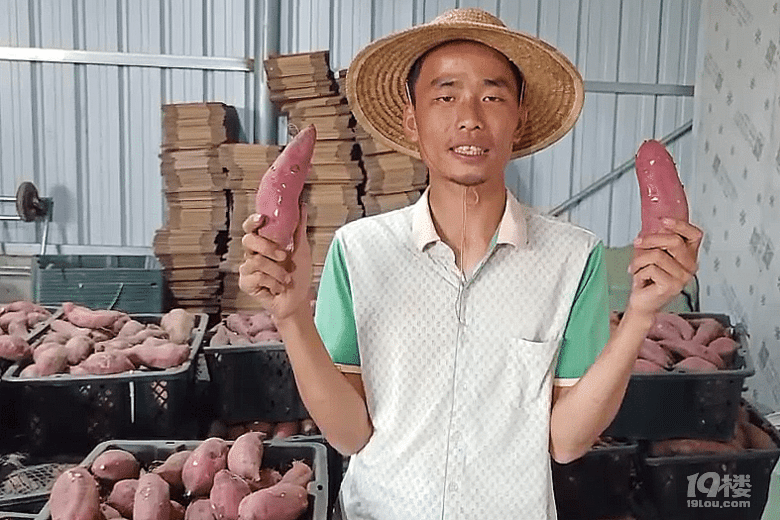 拼多多“抗疫助農(nóng)”上線:農(nóng)戶兩小時(shí)賣一萬斤洋蔥