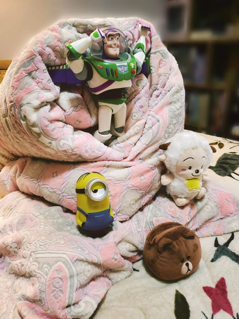 倾顾  叠被子-脑洞大开用小被子折了一个-狐狸哈哈哈虽然不太像 @小