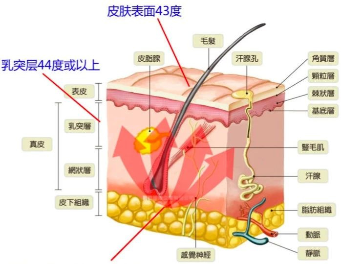 这届年轻人更好看了吗？为何好看小花变多，但惊艳美人却变少？