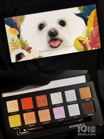 N姓女明星：完美日记猫狗盘新品首发+试色！
