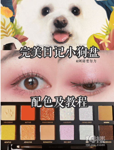 N姓女明星：完美日记猫狗盘新品首发+试色！