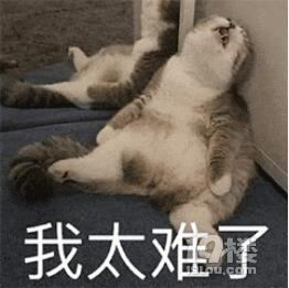 這才是半工半宅的正確打開方式!