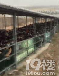 人人人人人,这个景区免了个票,游客挤到爆,动图看着就害怕……