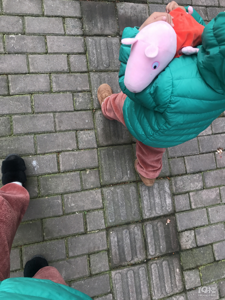 ӑՓű޶61q߀ӛͯrż᣿