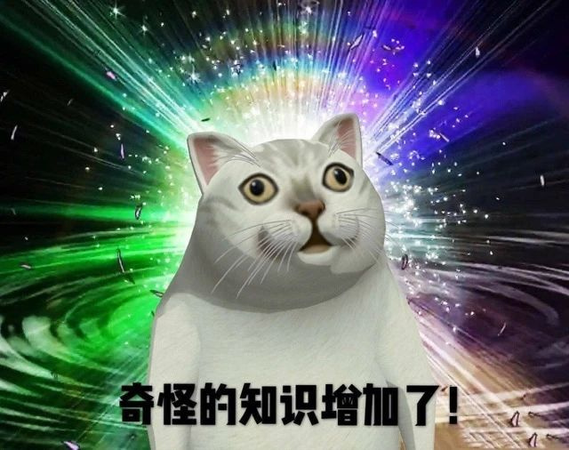 在?最热猫咪表情包大合集!速收!