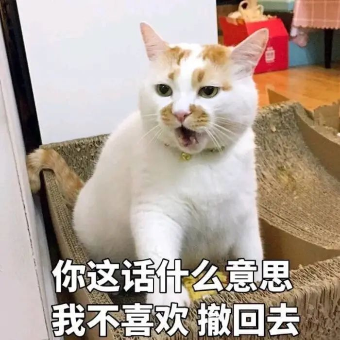 在?最热猫咪表情包大合集!速收!