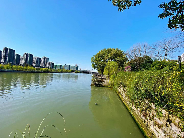 北星公園