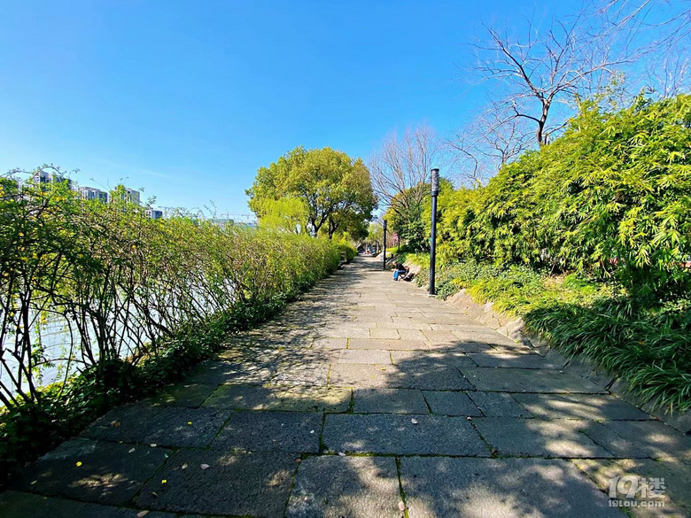 北星公園