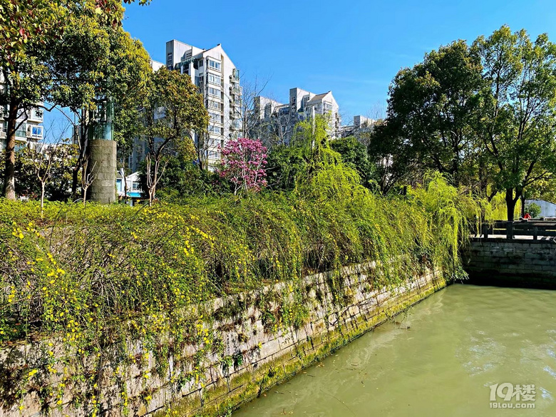 北星公園
