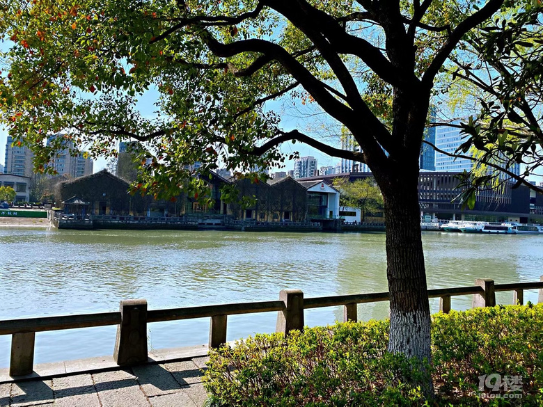北星公園