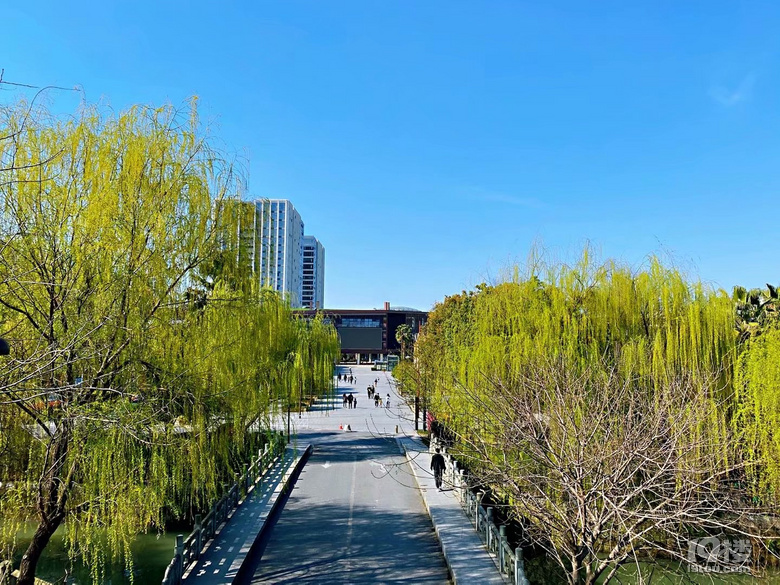 北星公園