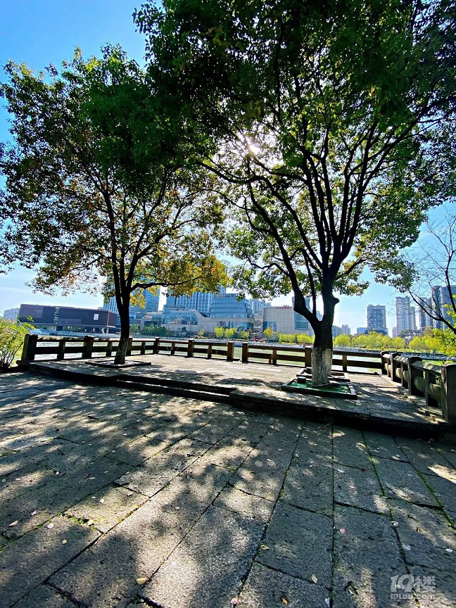 北星公園