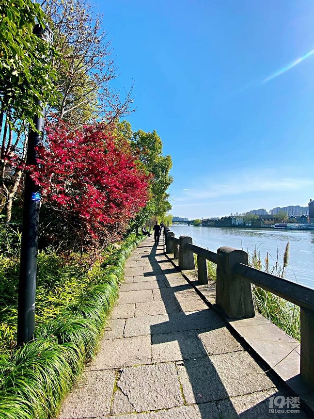 北星公園