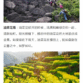 登高饮酒赋，饮罢覆卮山_图4