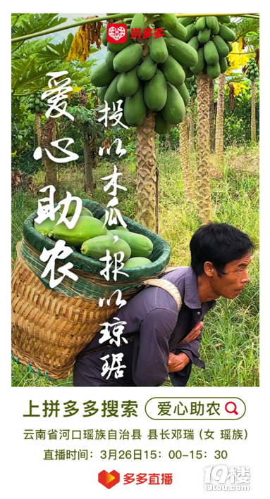 瑶族女县长拼多多直播:半小时售80吨木瓜为云南河口创出新品牌