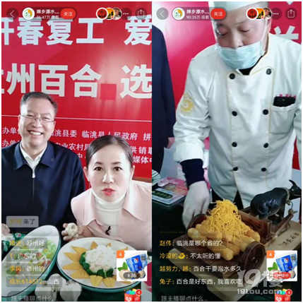白领复工后“养生农产品”热销:121万人围观临洮县委书记卖百合