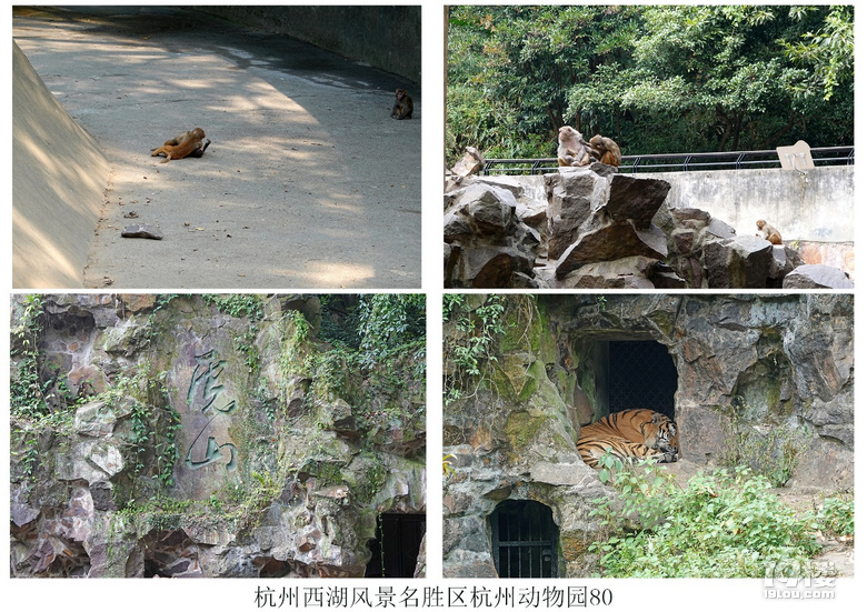 杭州西湖風景名勝區杭州動物園