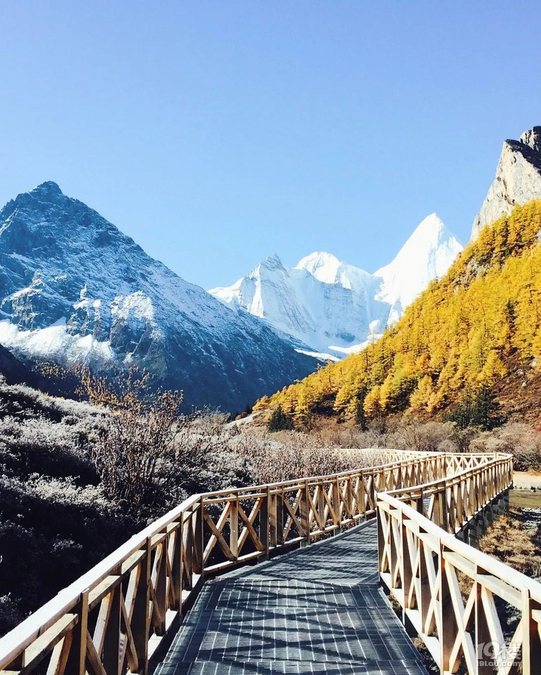 說句真話，2020可能是旅行最便宜的一年